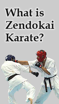 What is Zendokai Karate?